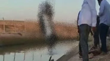 Eyyübiye’de Otomobil Sulama Kanalına Uçtu: Sürücü Yaralandı