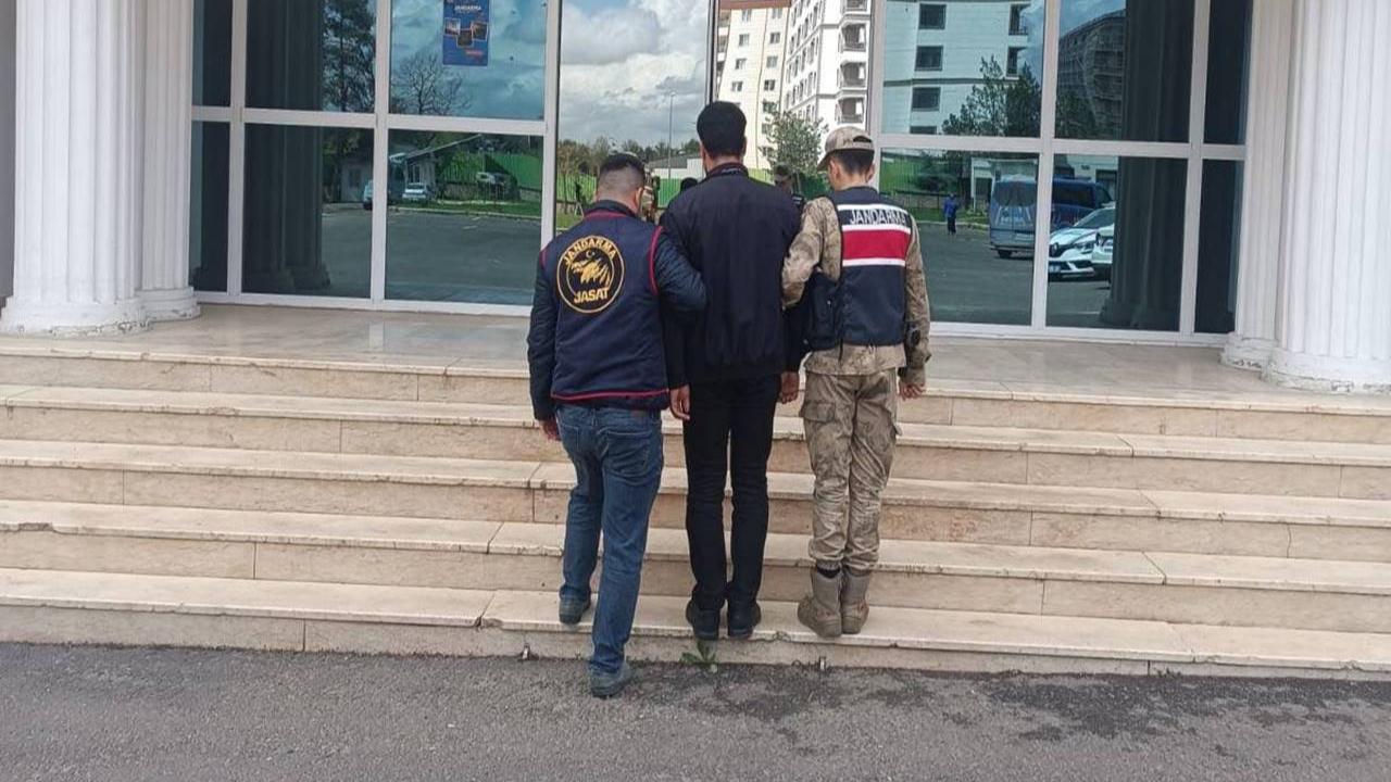 Haliliye İlçesinde Jandarmadan Başarılı Operasyon!