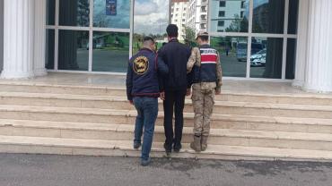 Haliliye İlçesinde Jandarmadan Başarılı Operasyon!