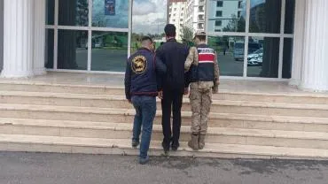 Haliliye İlçesinde Jandarmadan Başarılı Operasyon!