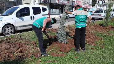 Haliliye’de Yaz Öncesi Parklarda Hummalı Çalışma