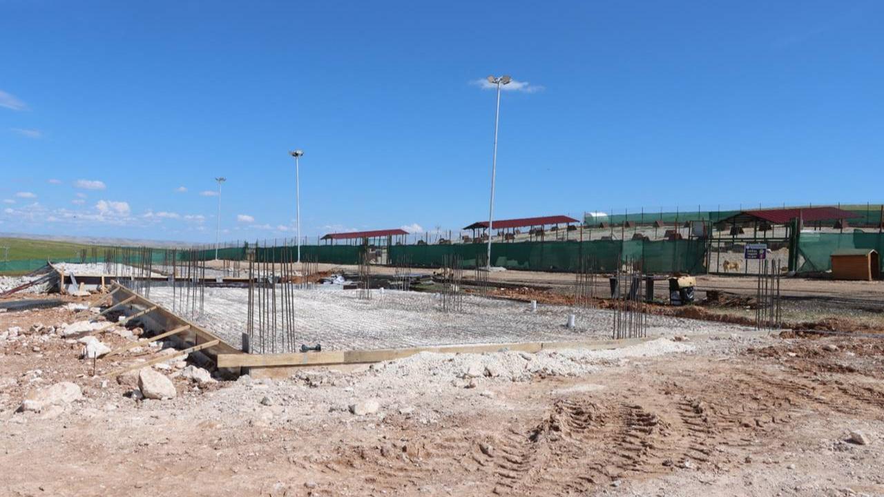 Karaköprü’de Sokak Hayvanlarının Doğal Yaşam Alanı Güçlendiriliyor