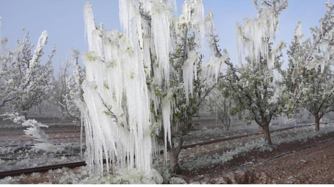 Meteoroloji’den Çifte Uyarı: Don ve Çığ Riski