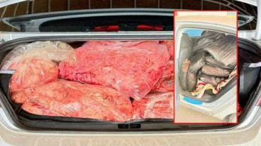 Viranşehir’de 2 Ton Kaçak Et Ele Geçirildi