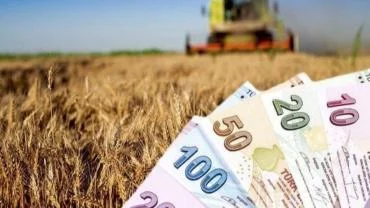 Şanlıurfa’da Hububat ve Bakliyat Fiyatları Açıklandı