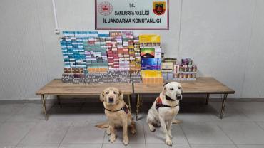 Şanlıurfa’da Kaçak Tütün Ve Alkol Operasyonu!