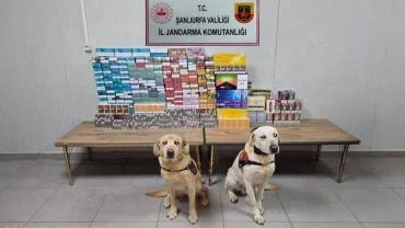 Şanlıurfa’da Kaçak Tütün Ve Alkol Operasyonu!