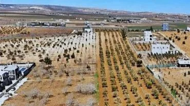 Şanlıurfa’da Köyde Ev ve Bağ Evi Yapacaklar Dikkat!