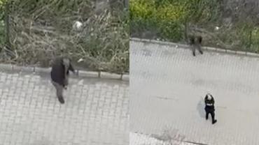 Şanlıurfa'da Polise Bıçakla Saldırmaya Kalkıştı