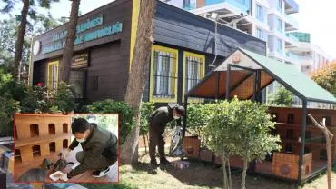 Şanlıurfa’da Sokak Kedileri İçin Örnek Proje