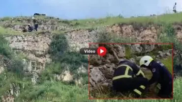 Şanlıurfa’da Uçurumda Mahsur Kalan Keçiler Kurtarıldı