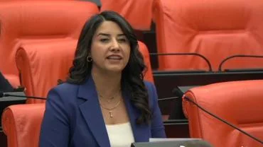 Siverek'teki Silahlı Saldırı Meclis Gündeminde