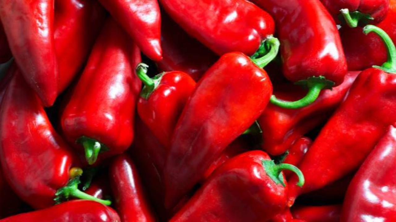 Şok Denetim: 7 TL’ye Alınan Biber 199 TL’ye Satılmış