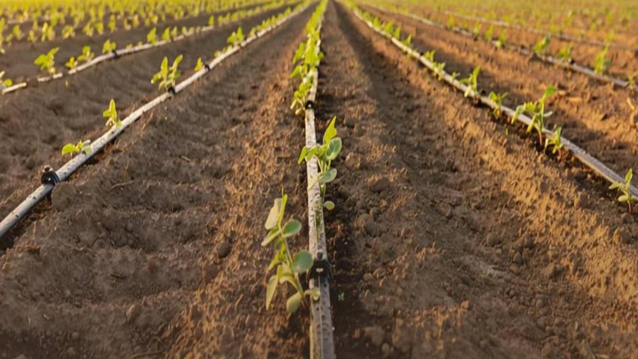 Tasarruflu Sulama Sistemlerine Rekor Destek