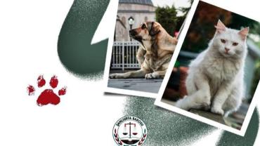 Urfa Barosu: Sokak Hayvanları İçin Kalıcı Politikalar Şart