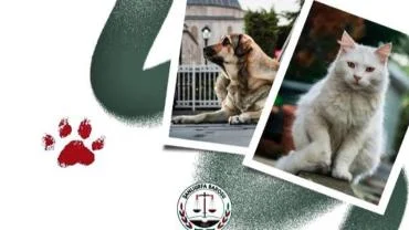 Urfa Barosu: Sokak Hayvanları İçin Kalıcı Politikalar Şart