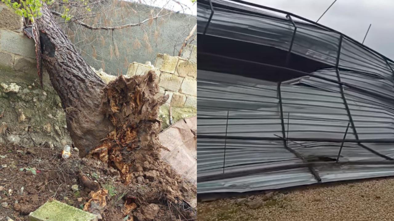 Urfa’da Fırtına Etkisini Gösterdi: Ağaçlar Devrildi