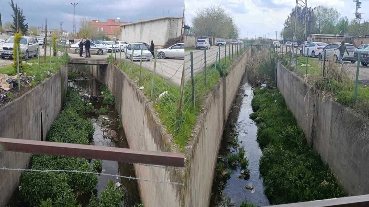 Urfa’da Mahallenin Ortasından Geçen Dere Tehlike Saçıyor