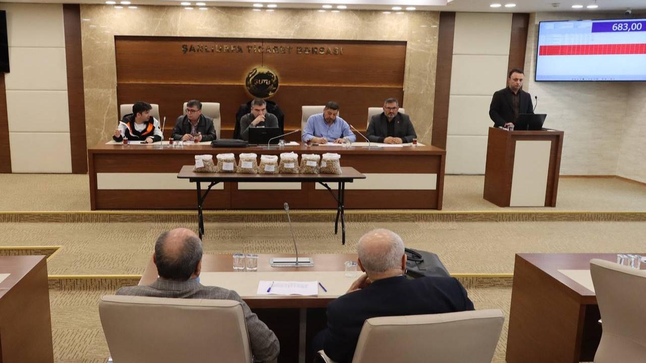 Urfa'da TİGEM’e Ait Antep Fıstığı İhaleyle Satıldı