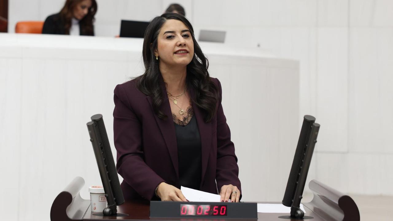 Vekil Ayan’dan Şanlıurfa Kültür Yolu Festivali Tepkisi