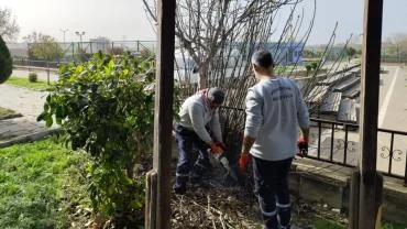 Viranşehir Belediyesi: Yeşil Bir Viranşehir İçin Sahadayız