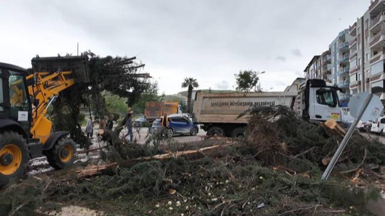 Birecik’te Fırtına Sonrası Teyakkuz: Büyükşehir Sahada