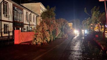 Birecik’te Fırtına ve Sağanak Felaketi: 1 Öldü