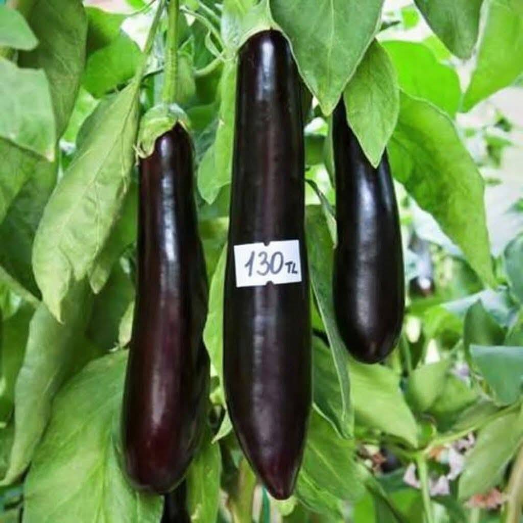 Şanlıurfa'da Pazarlar Cep Yakıyor