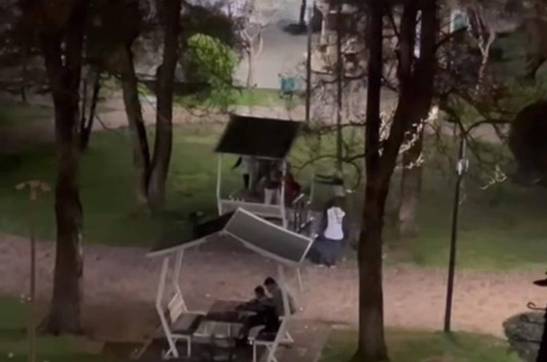 Şanlıurfa’da Parktaki Kamelya Tahrip Edildi