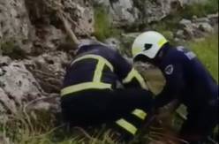 Şanlıurfa’da Uçurumda Mahsur Kalan Keçiler Kurtarıldı