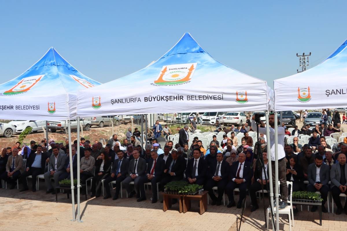 Şanlıurfa’da Üreticiye 1 Milyon Fide Dağıtıldı