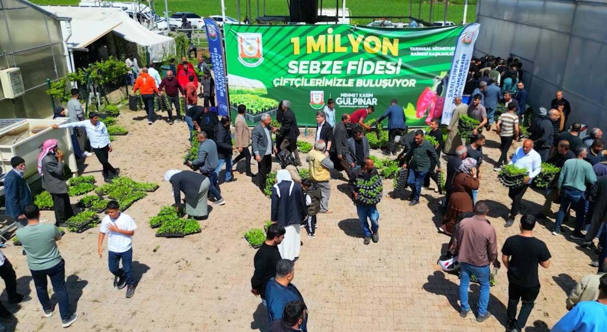 Şanlıurfa’da Üreticiye 1 Milyon Fide Dağıtıldı