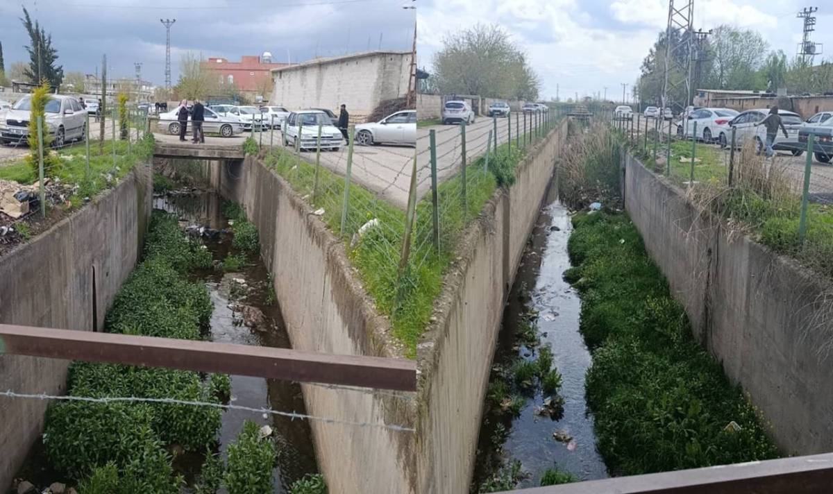 Urfa’da Mahallenin Ortasından Geçen Dere Tehlike Saçıyor