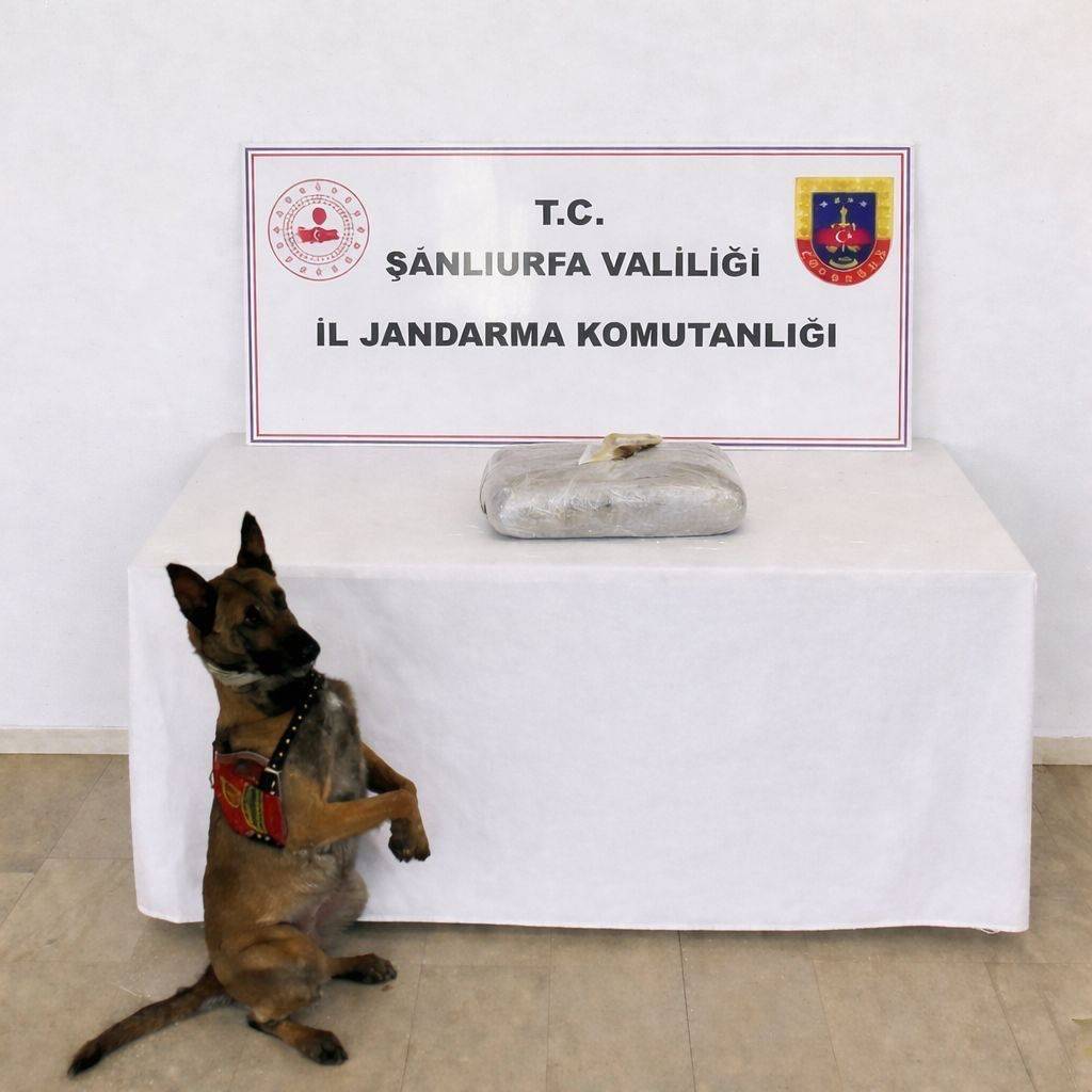 Birecik’te 1 Kilo 222 Gram Esrar Ele Geçirildi