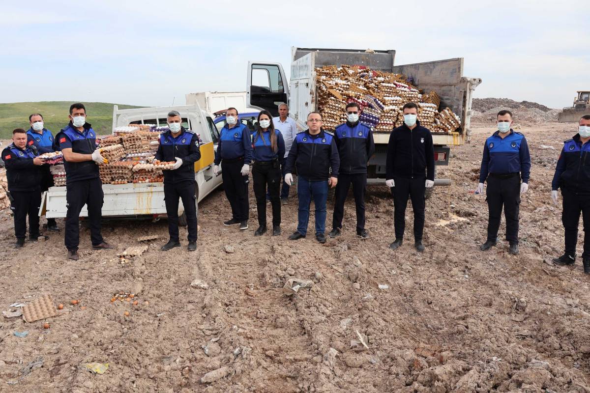Urfa'da Depo Baskını: 5 Bin Koli Yumurta İmha Edildi