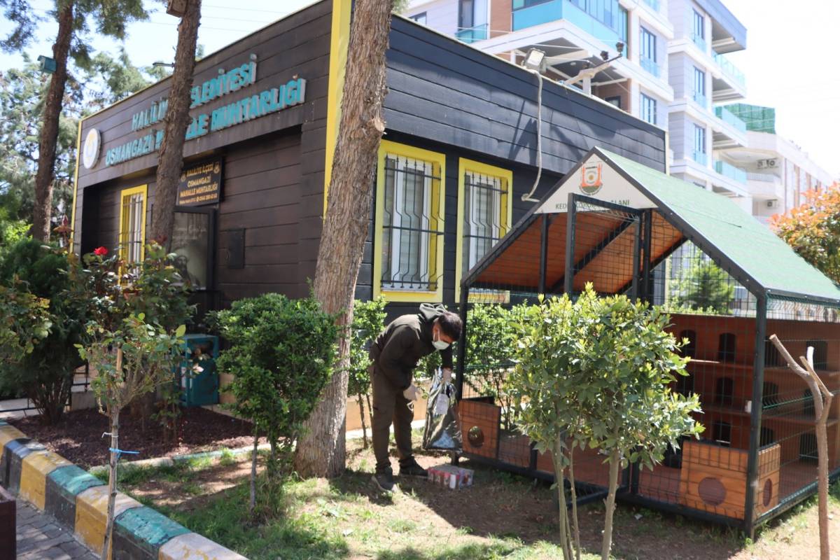 Şanlıurfa’da Sokak Kedileri İçin Örnek Proje