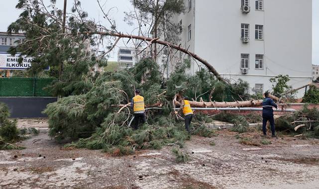 Birecik’te Fırtına Sonrası Teyakkuz: Büyükşehir Sahada