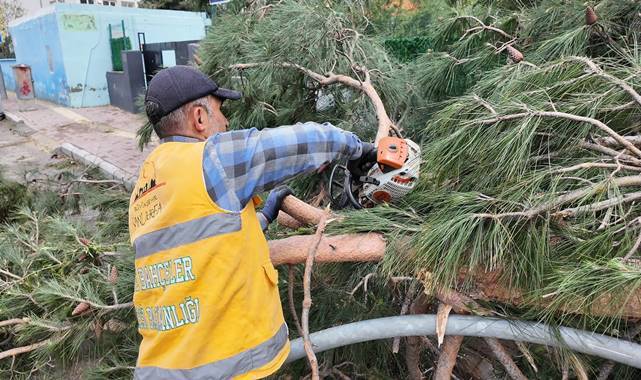 Birecik’te Fırtına Sonrası Teyakkuz: Büyükşehir Sahada