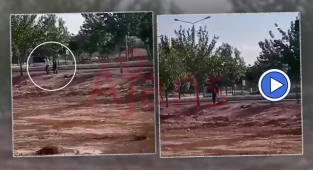 Şanlıurfa'da 1 kişinin öldüğü kavganın görüntüsü