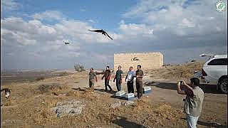 Özgürlüğe yeniden kanat çırptılar